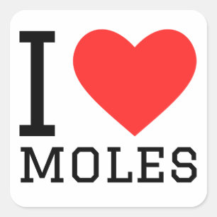 Sticker Carré J'aime les moles