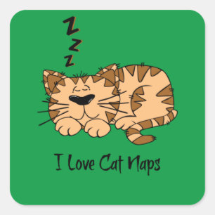 Sticker Carré J'Aime Les Naps De Chat,