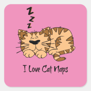 Sticker Carré J'Aime Les Naps De Chat,
