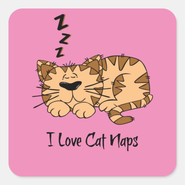 Sticker Carré J'Aime Les Naps De Chat, (Devant)