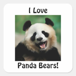Sticker Carré J'Aime Les Panda Bears