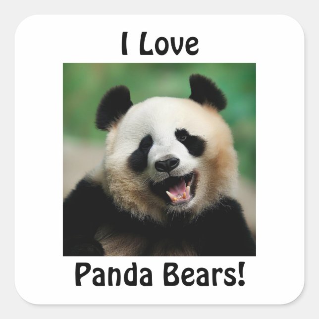 Sticker Carré J'Aime Les Panda Bears (Devant)