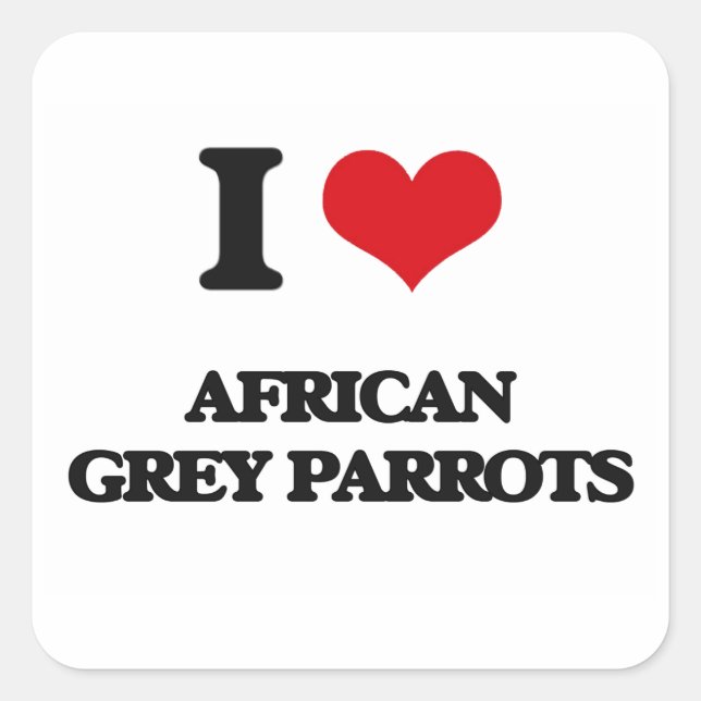 Sticker Carré J'aime les perroquets gris africains (Devant)