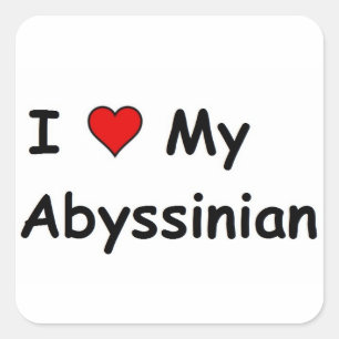 Sticker Carré J'Aime Mon Abyssinian