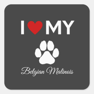 Sticker Carré J'aime mon chien Malinois belge texte personnalisé
