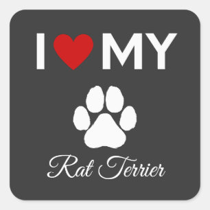Sticker Carré J'aime mon chien Rat Terrier texte personnalisé