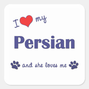 Sticker Carré J'aime mon persan (le chat femelle)