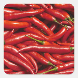 Sticker Carré Jalapenos