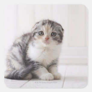 Sticker Carré Japon 5