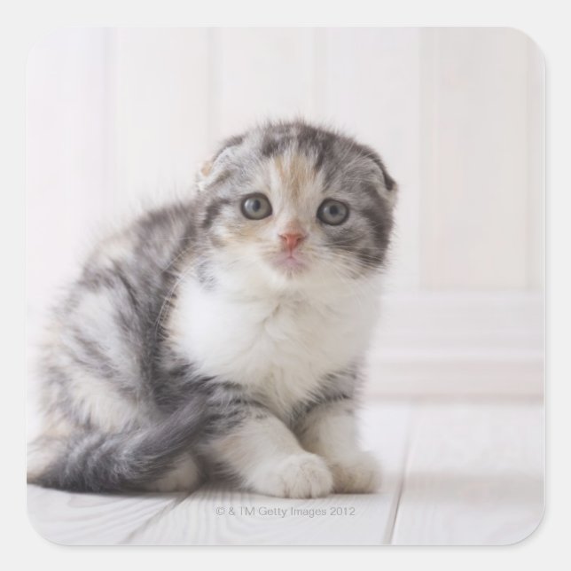 Sticker Carré Japon 5 (Devant)