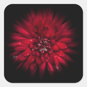 Sticker Carré Jardin Fleurs No 45 Version de flux couleur