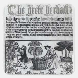 Sticker Carré Jardin médiéval aux herbes