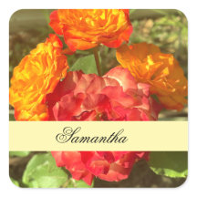 Jardin Orange Et Fleur Rouge