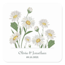 Jardin sauvage simple de marguerite