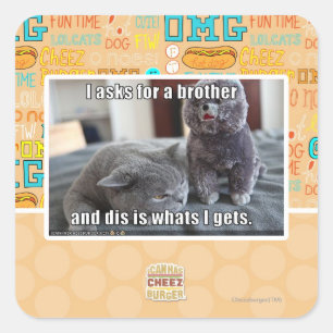 Sticker Carré Je demande à un frère