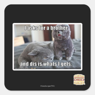 Sticker Carré Je demande à un frère