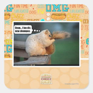 Sticker Carré Je luv dis nouveau shampooing