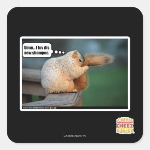 Sticker Carré Je luv dis nouveau shampooing