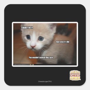 Sticker Carré Je ne l'ai pas fait.