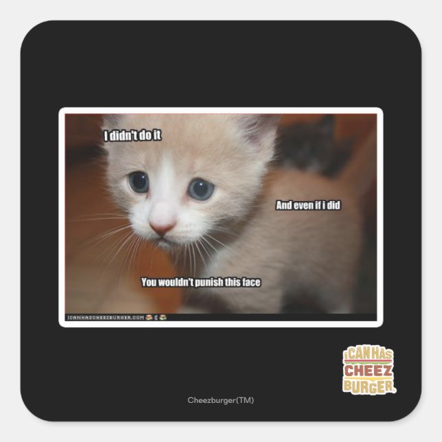 Sticker Carré Je ne l'ai pas fait. (Devant)