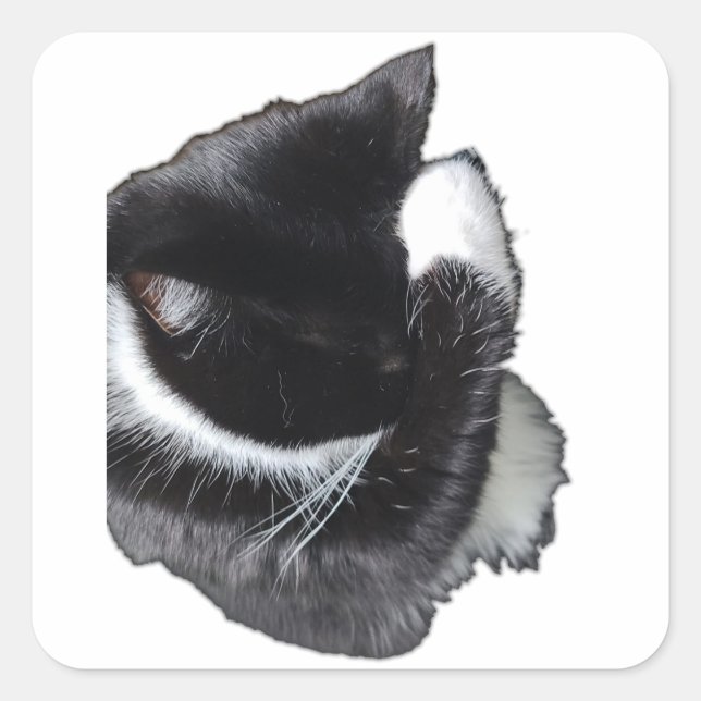 Sticker Carré Je ne peux même pas maintenant (Devant)