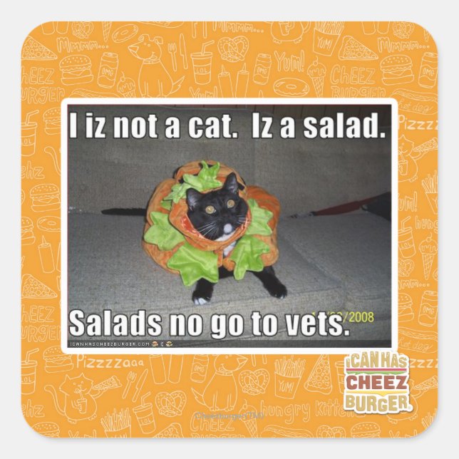 Sticker Carré Je ne suis pas un chat. Iz une salade. (Devant)