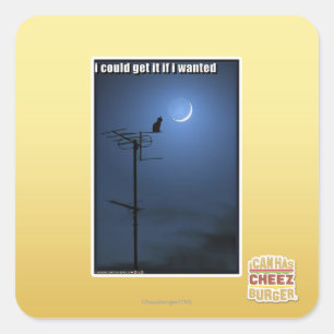 Sticker Carré Je pourrais l'obtenir si je le voulais