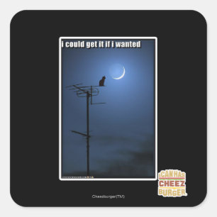 Sticker Carré Je pourrais l'obtenir si je le voulais