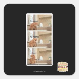 Sticker Carré Je suis de la foutaise !