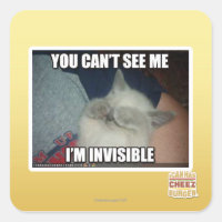 Je suis invisible