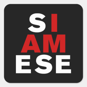 STICKER CARRÉ JE SUIS SIAMESE
