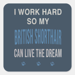 Sticker Carré Je Travaille Dur Pour Mon British Shorthair