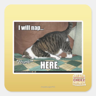 Sticker Carré Je vais faire la sieste ici