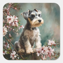 Jeune schnauzer parmi les fleurs de cerisier print