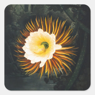 Sticker Carré John Thornton Le Botanique Cereus, Qui Souffle La