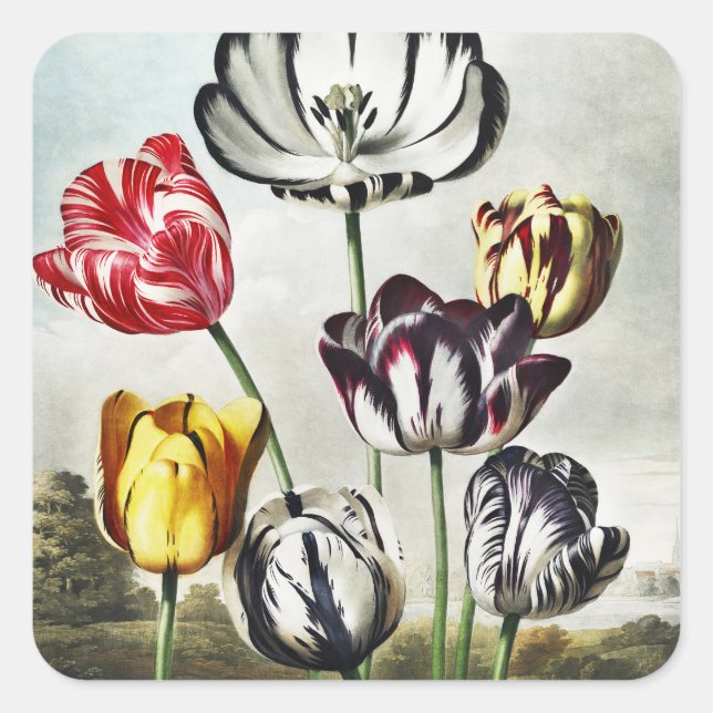 Sticker Carré John Thornton Tulips du Temple de Flora (Devant)