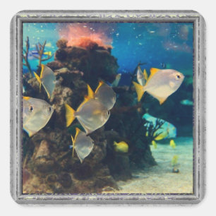 Sticker Carré Joli Aquarium Fish