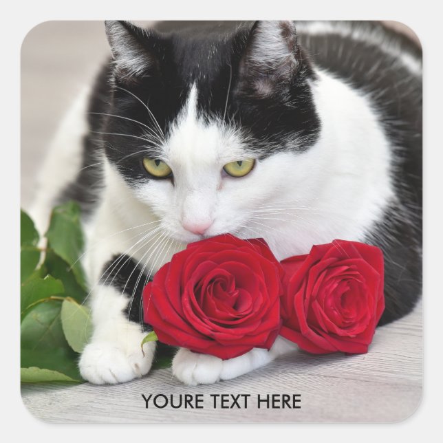 Sticker Carré Joli chat avec la rose rouge (Devant)