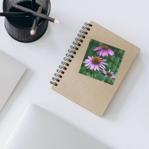 Sticker Carré Joli Conflowers violets Floral