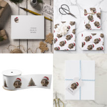 Joli Kiwi de Noël, coutume