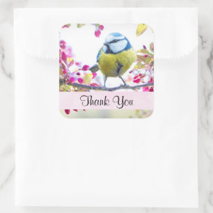 Sticker Carré Joli Oiseau bleu et jaune sur un Merci de branche