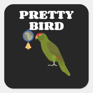 Sticker Carré Joli oiseau - Perroquet de l'Amazonie