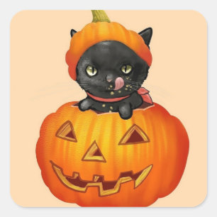 Sticker Carré Joli petit chaton dans un citrouille Halloween