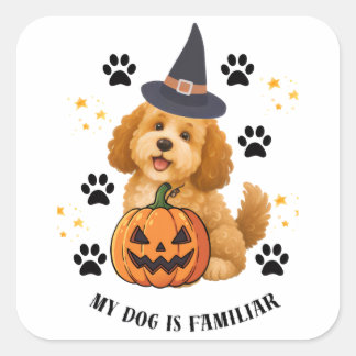 Sticker Carré Joli Poodle Sorcière d'Halloween avec Citrouille