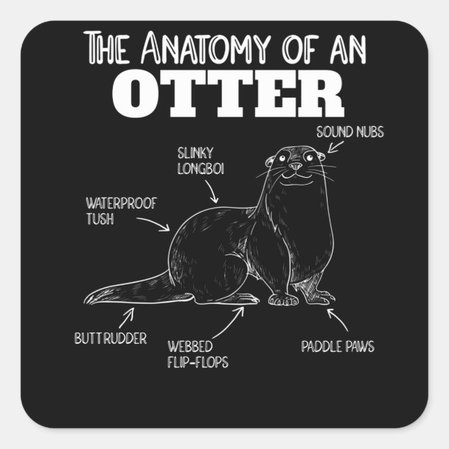 Sticker Carré Jolie Otter Explication Anatomie D'Une Otter (Devant)