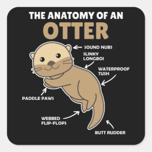 Sticker Carré Jolie Otter Explication Anatomie D'Une Otter