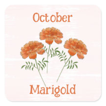 Jolies Fleurs de Tagète Octobre
