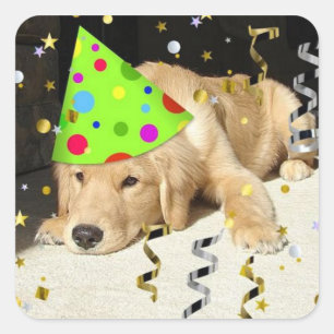 Sticker Carré Jour d'anniversaire Golden Retriever