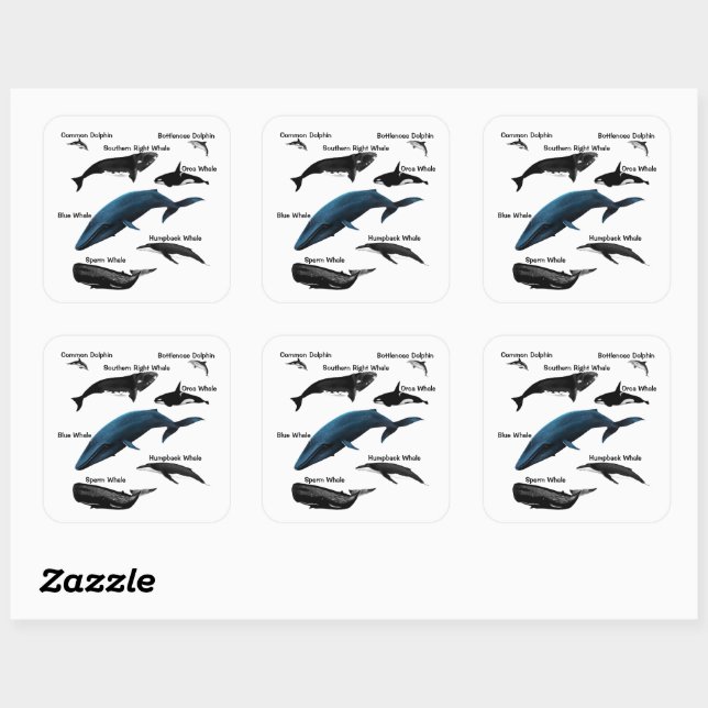 STICKER CARRÉ JOURS DE BALEINE (Feuille)