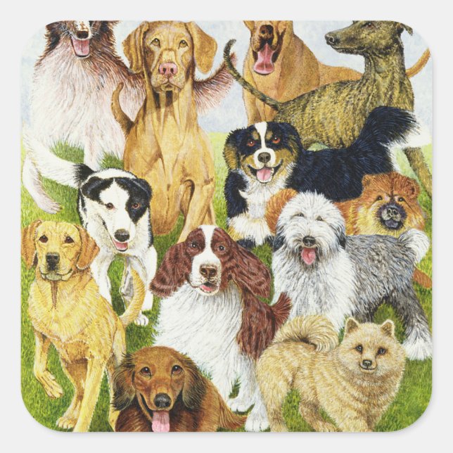 Sticker Carré Jours de chien (Devant)